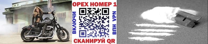 как найти   Медынь  COCAIN 99% 