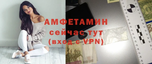 твердый Новозыбков