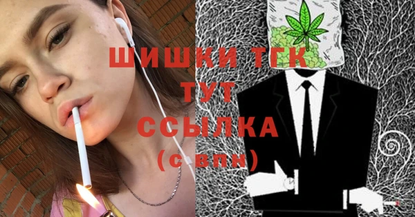 соль ск Осташков