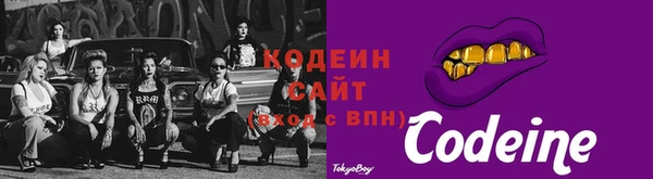 твердый Новозыбков