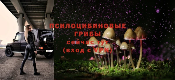 стаф Нязепетровск